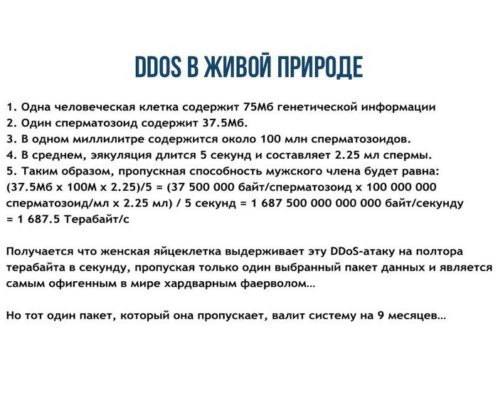 Сухие цифры - Юмор, DDoS, Не мое