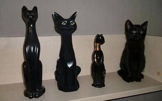 Cat figurines. - cat, The statue, Sculpture