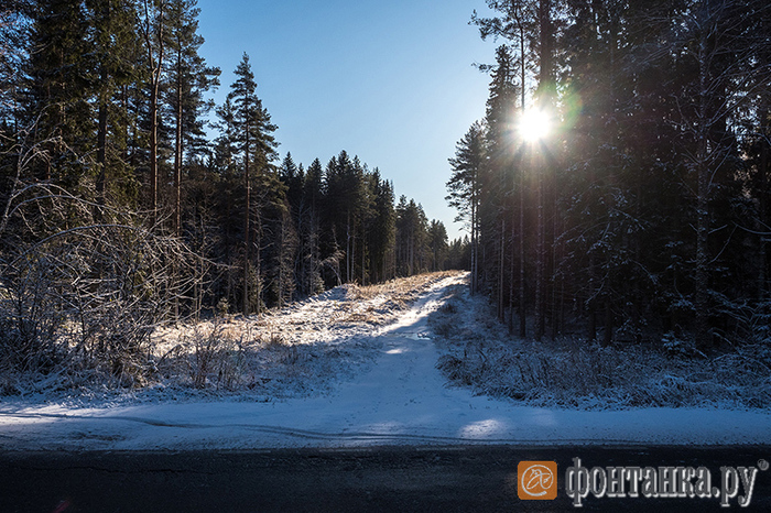 Fontanka learned about the disappeared gas pipeline for 1.8 billion rubles near St. Petersburg - Society, Russia, Saint Petersburg, Gazprom, Gas pipeline, Disappearing, Theft, Tvrainru, Longpost, Theft