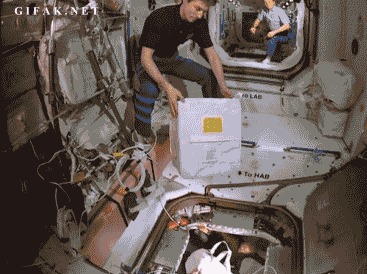 Сортировка груза с земли на МКС Космос, МКС, Космонавты, Гифка