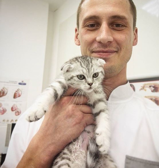 Kittens at the vet - cat, Vet, Longpost, The photo, 