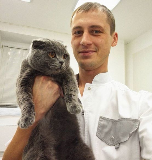 Kittens at the vet - cat, Vet, Longpost, The photo, 