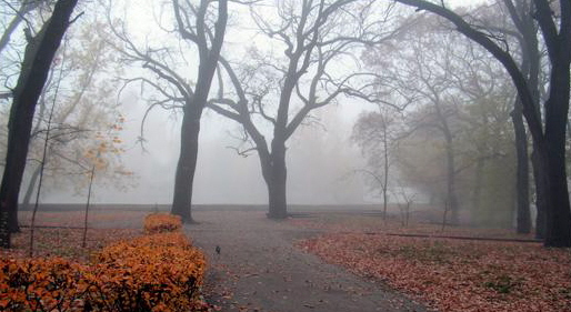 Windy in autumn - My, Autumn, Reflections, Longpost