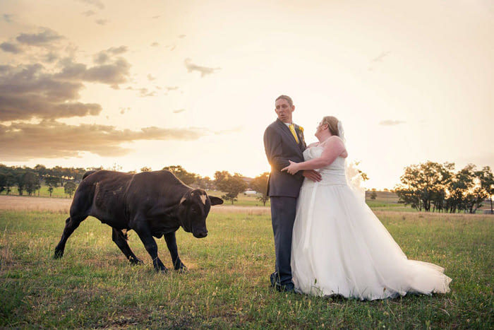 A selection of funny wedding photos - Wedding, Funny, The photo, A selection, Longpost