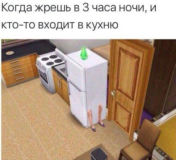 Ой да - Юмор, Холодильник, The Sims