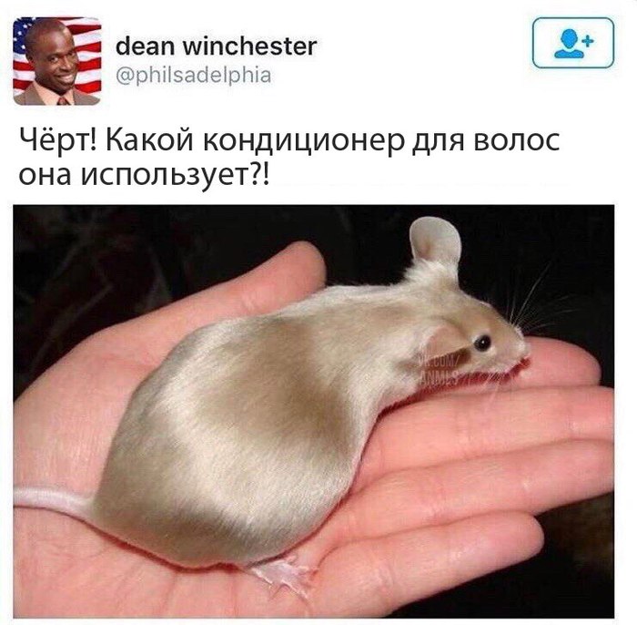1510351292162784136.jpg