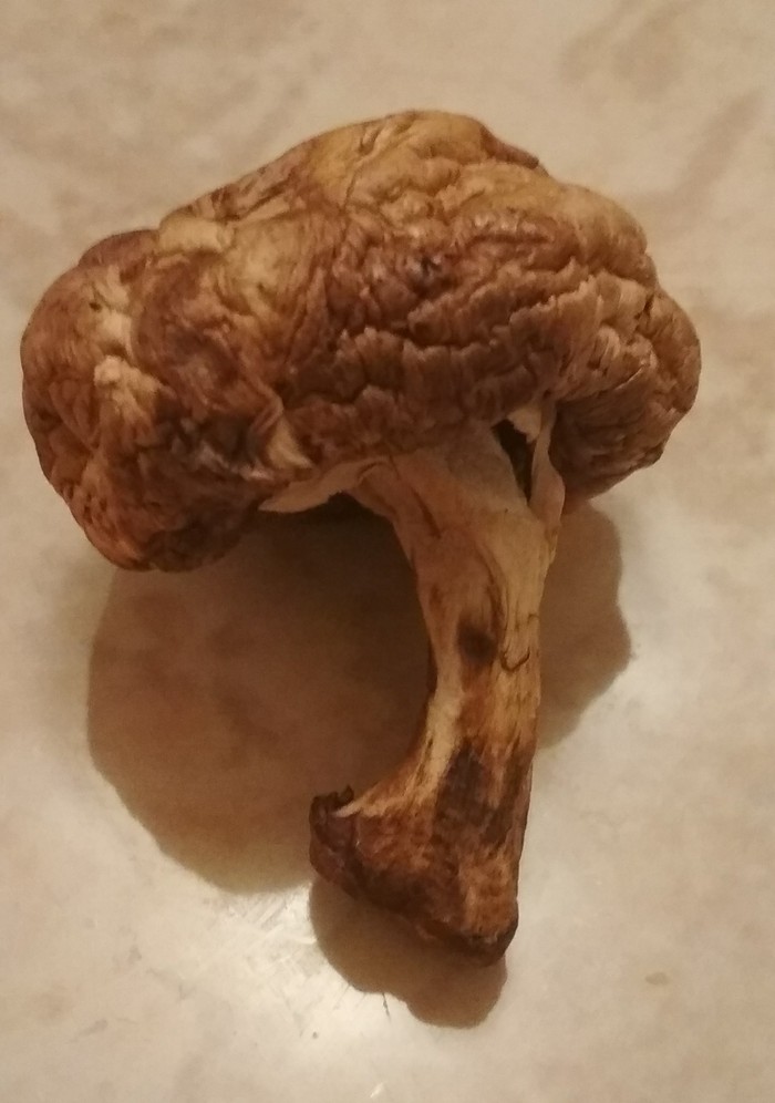    , ,  ,  , 