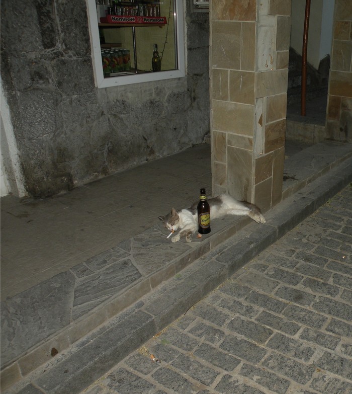     , , , , , , 