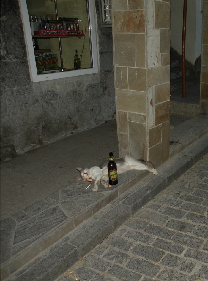     , , , , , , 