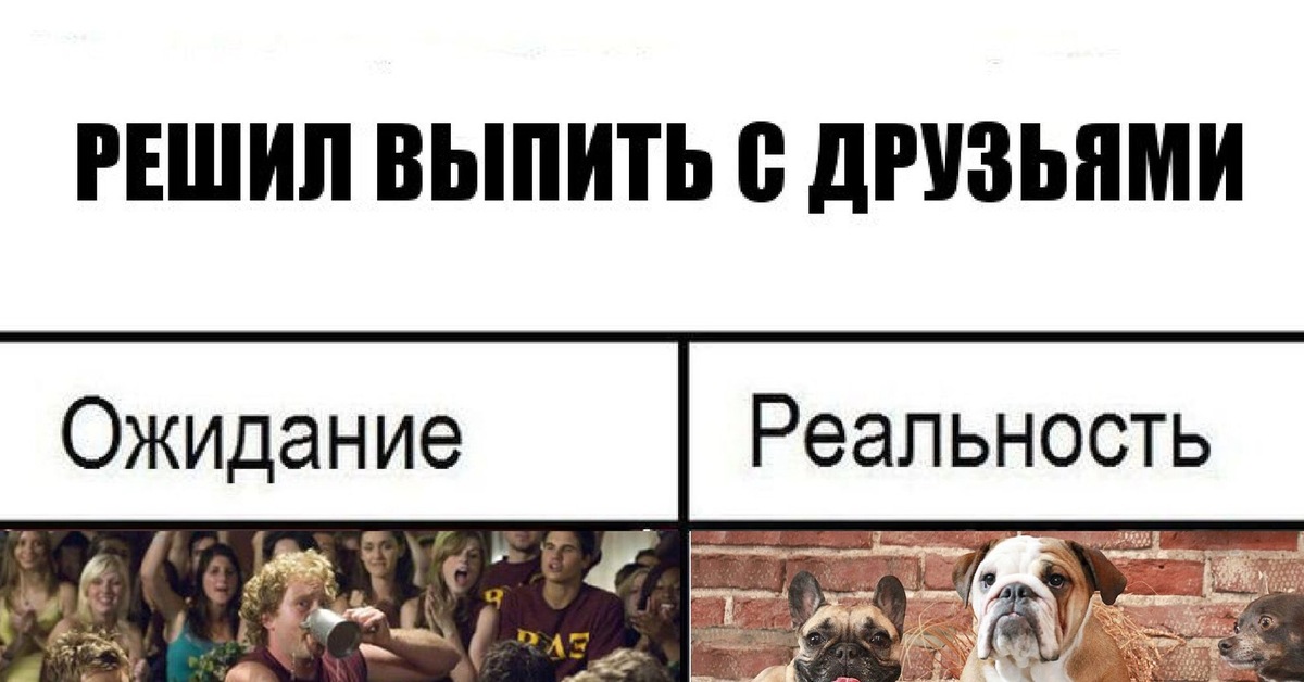 Понять выпить. Выпьем? Ожидание и реальность. Ожидания реальность пиво. Собака ожидание и реальность. Немецкая овчарка ожидание реальность.