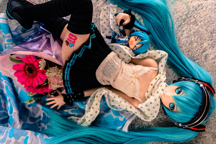 DollfieDream -   Dollfiedream,  , Hatsune Miku, , 