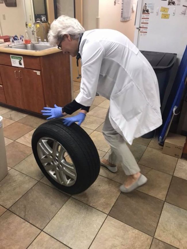 Kitten Cookie realized too late that sticking his head in the wheel was a bad idea! - cat, Animal Rescue, Longpost