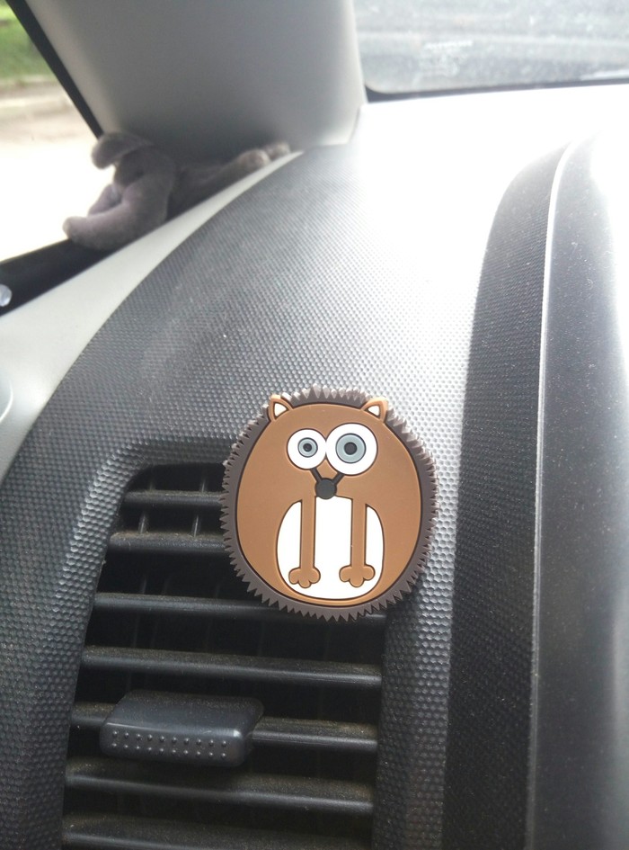 Air freshener in the car, hedgehog. - My, Car, Air freshener, Hedgehog, Milota