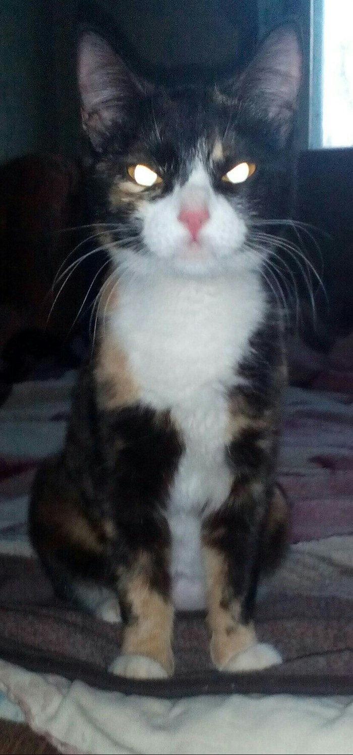 Привет Екатеринбург!