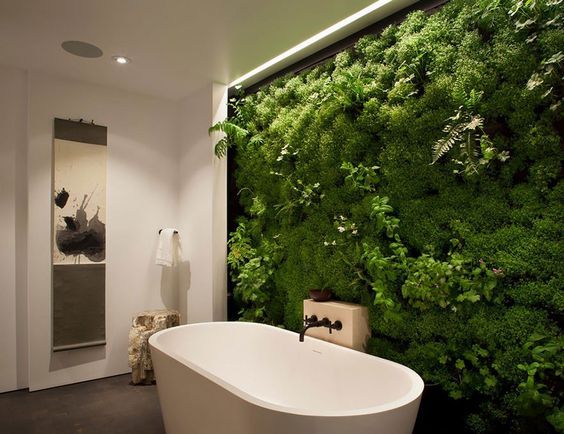 Phytowall in the bathroom - cool idea! - Bath, Landscaping, Vertical landscaping
