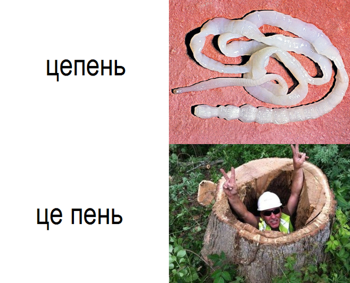 ����� ����