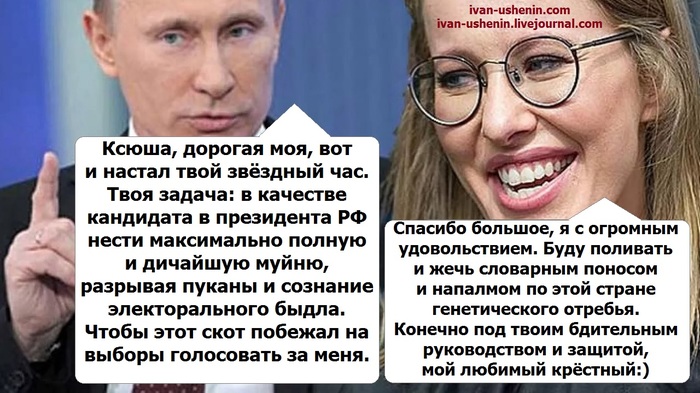 Why does the Kremlin need Sobchak? - Elections, Politics, , Sobchak, Elections 2018