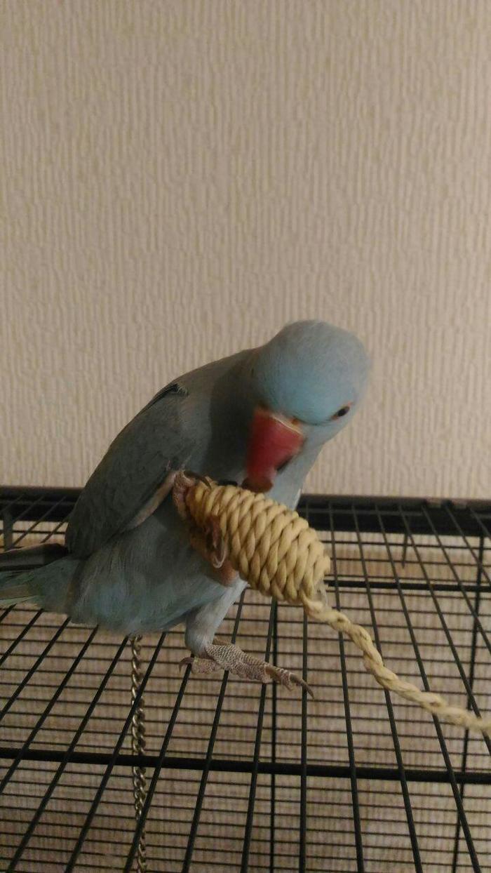       ,  ,  ,  , , ,  , 