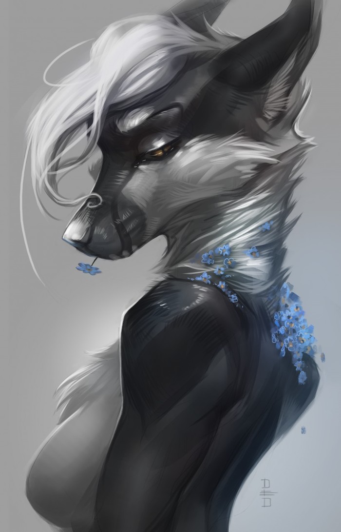 Portrait - Furry, Art, Deadro, Portrait, Flowers