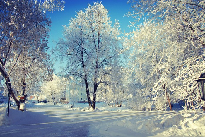 Winter landscape - Winter, Landscape, Perm Territory, Not mine