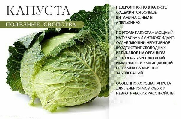 Полезные свойства зелени - Полезное, Продукты, Длиннопост