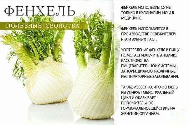 Полезные свойства зелени - Полезное, Продукты, Длиннопост