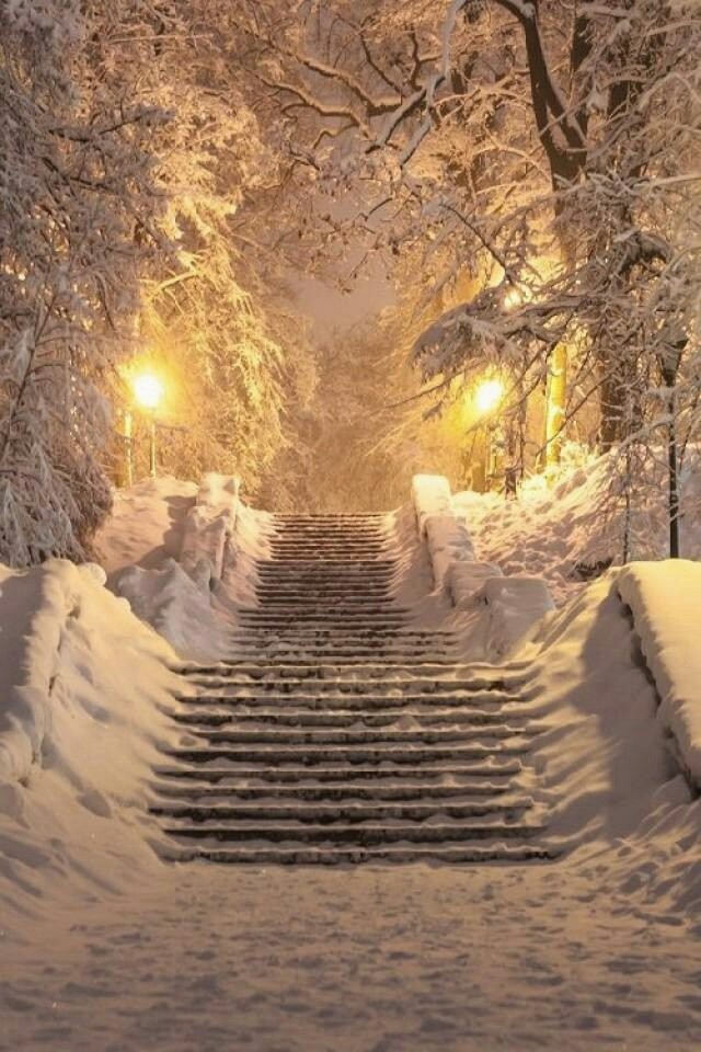 Winter is wonderful - Snow, , I want to, Longpost