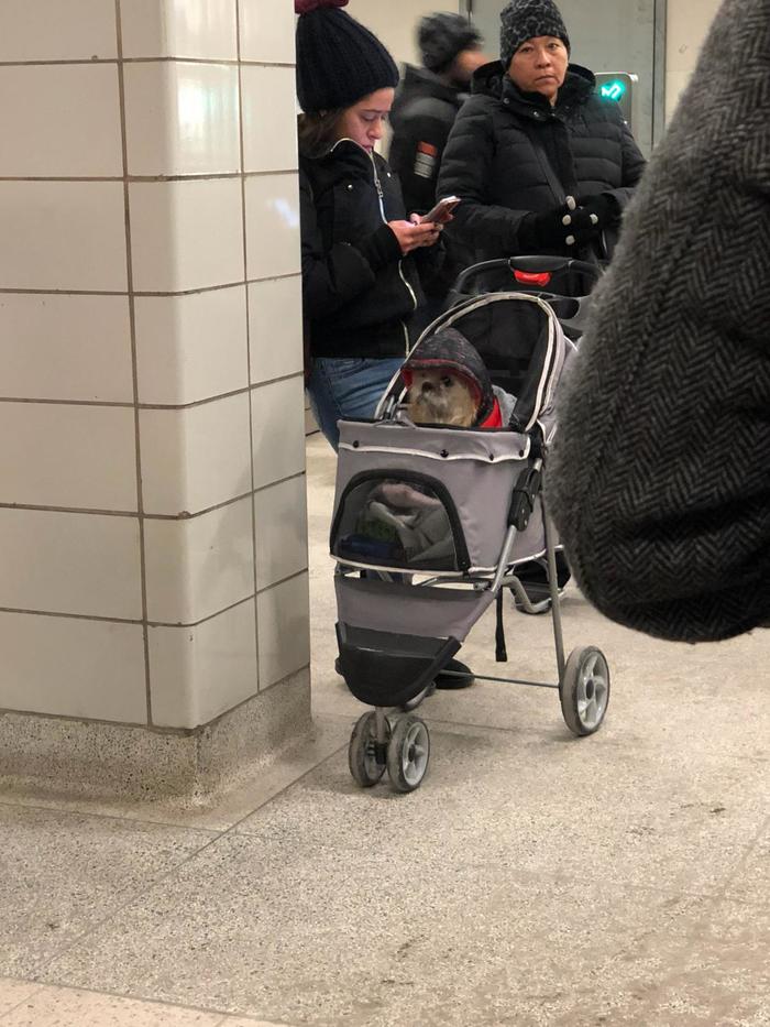 На одной из станций в Торонто