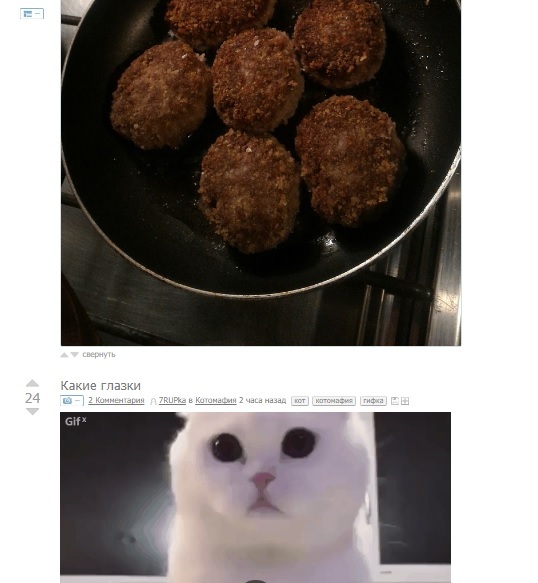 cutlets) - cat, Cutlets, Sadness