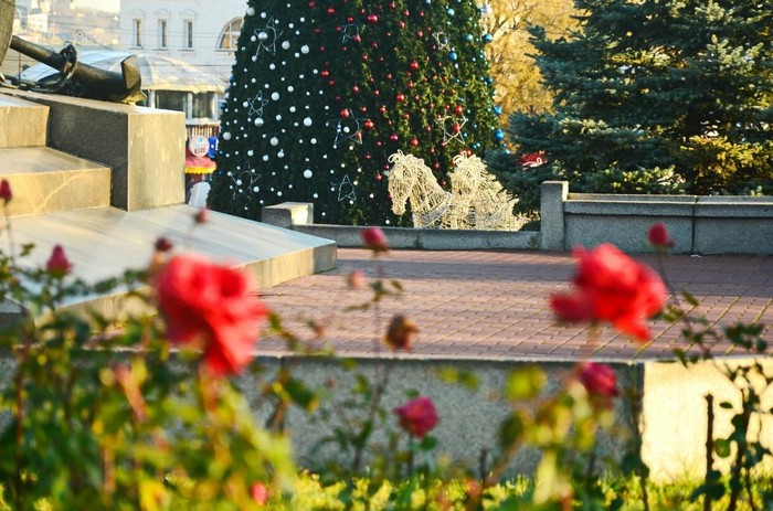 Зимний Севастополь - Зима, Севастополь