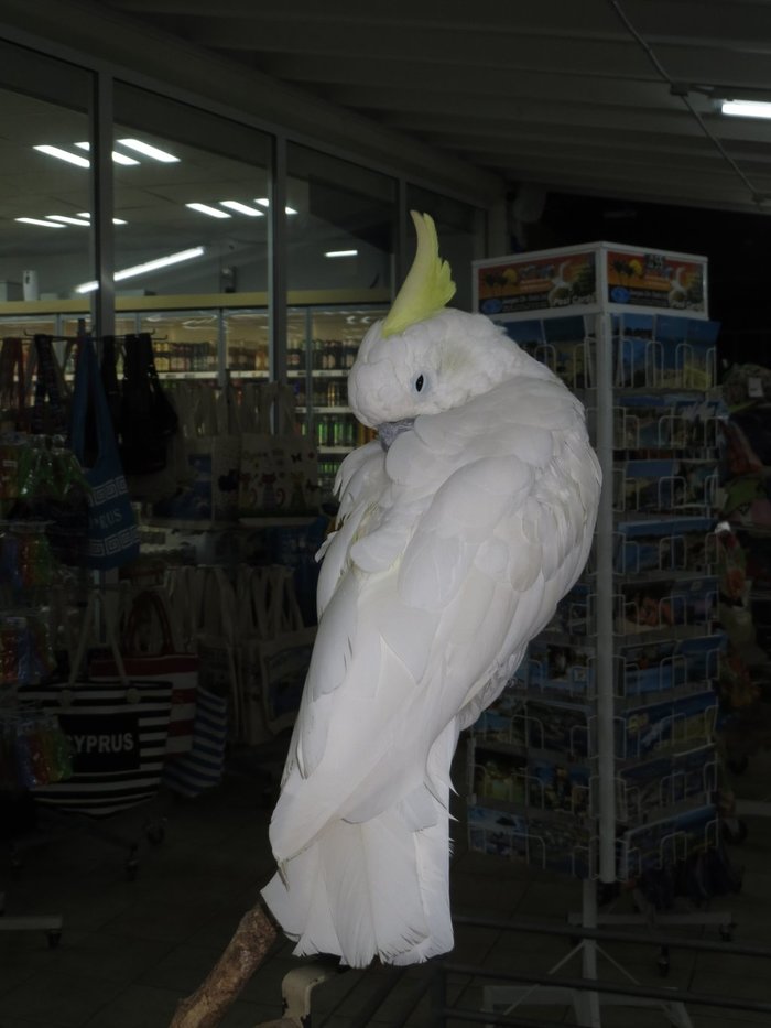    , 