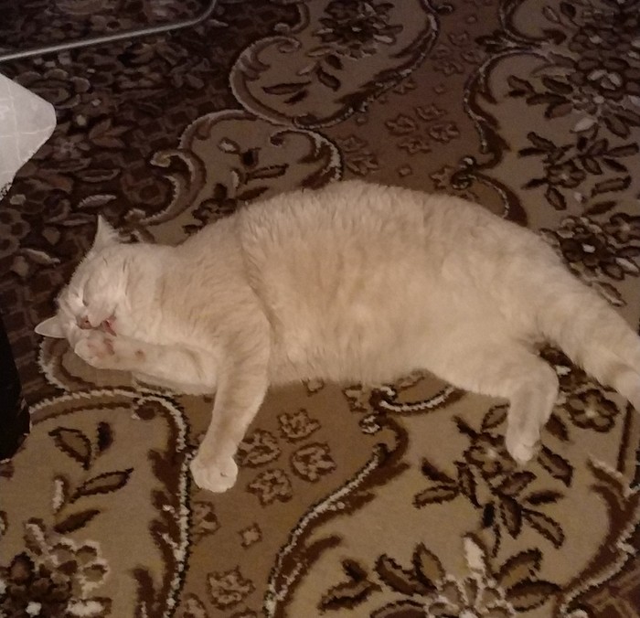 ����� �� ����������