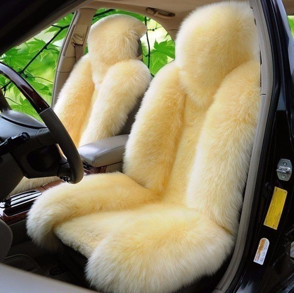 To be warmer! - Car, Seat, Heat, Fur