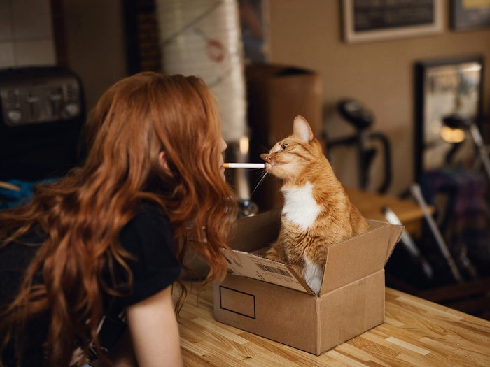 Redheads - Girls, cat, , Redheads, Animals