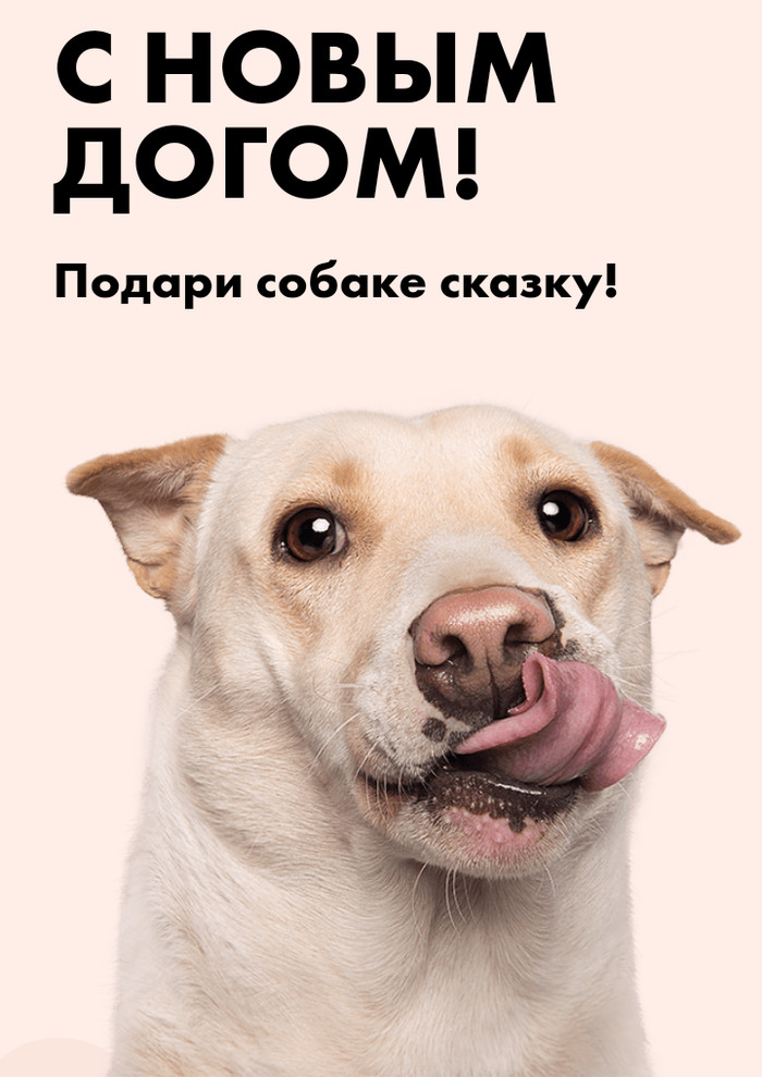 Almaty animal shelter offers to be Santa Claus for our beloved caudates. - Animal shelter, Dog, Longpost, Charity, Almaty