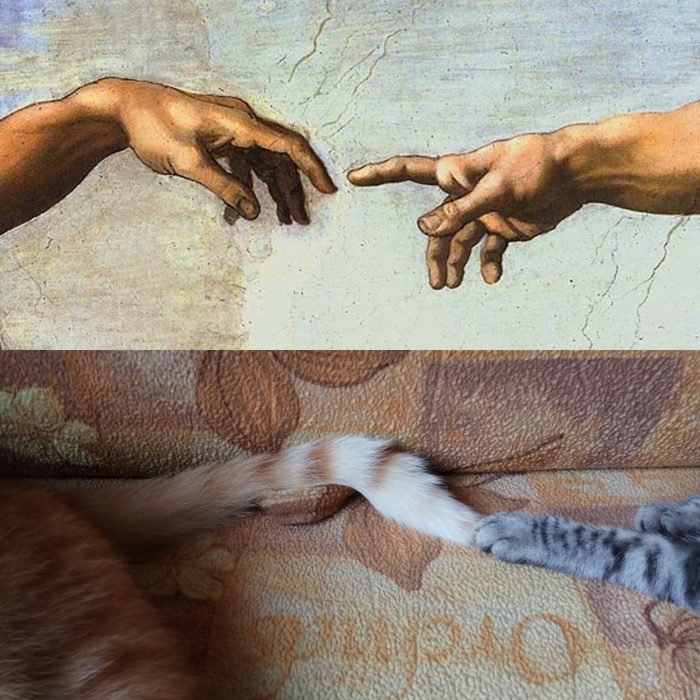 " "   , , 