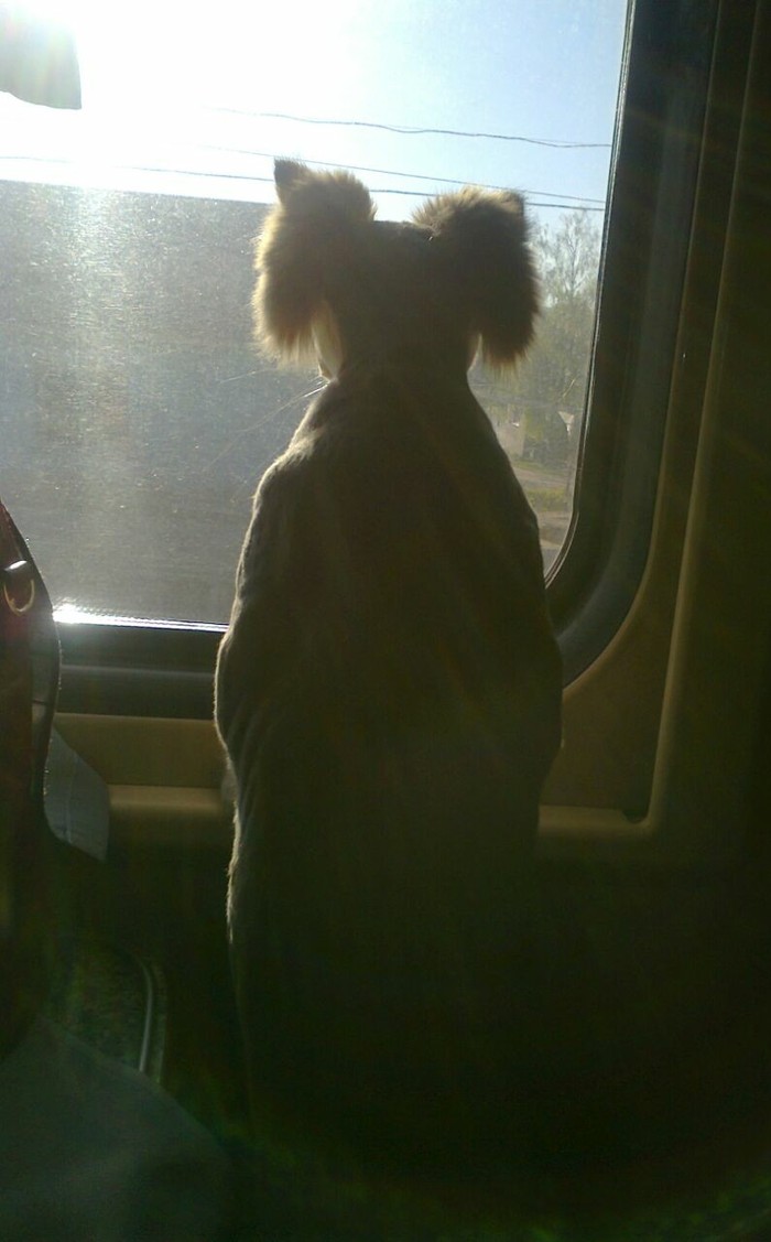 ���������������