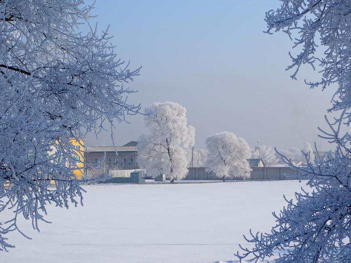 Winter, winter, winter all around. - My, Дальний Восток, Primorsky Krai, Pokrovka, Winter, beauty