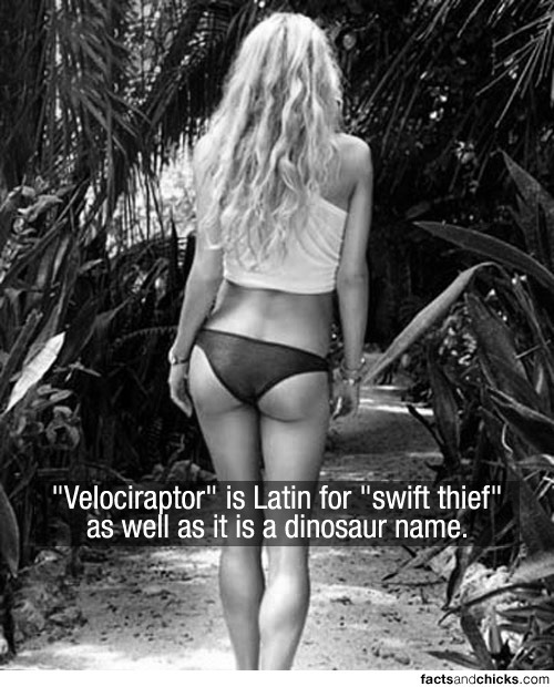 Тёлки и факты-3