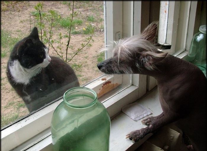 - Говорил я тебе, не пей этот бутор!