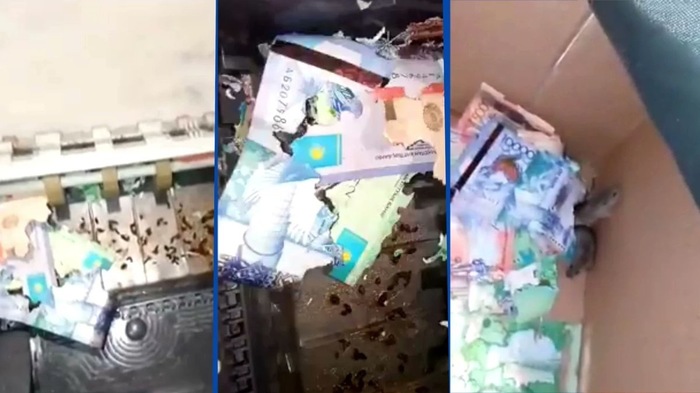 Новость №1425