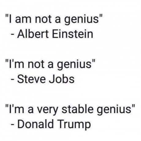 Stable genius - Genius, 