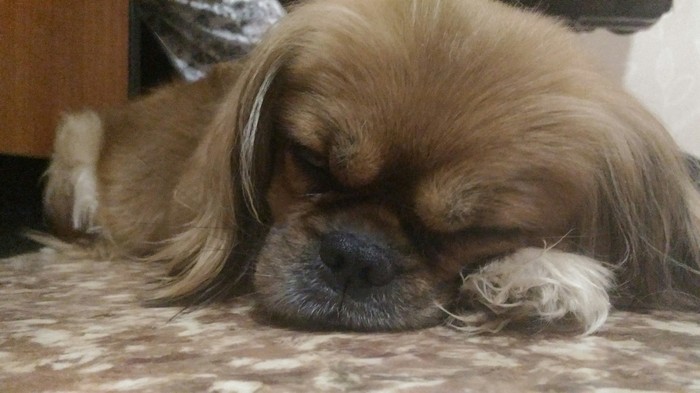 Когда пришел с работы, а сил нет.