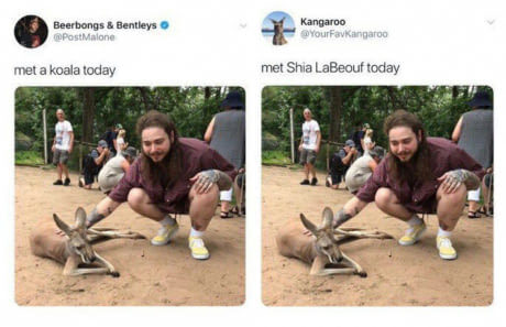 Koala and Shia LaBeouf - Meeting, Screenshot