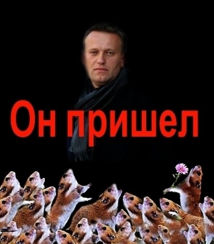 Hope and support - Alexey Navalny, Politics, Russia, Humor