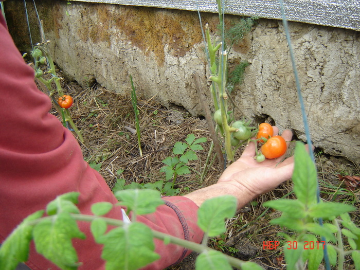 Underground greenhouse, Krasnodar region - Underground greenhouse, Краснодарский Край, Longpost