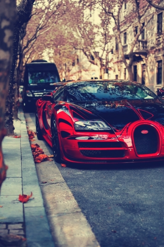 Bugatti - Bugatti, Car, beauty