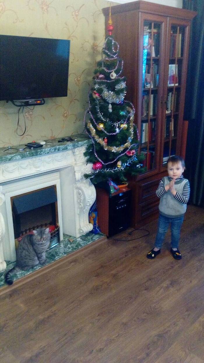 How we removed the Christmas tree, with the permission of a 3 year old child - Children, Longpost, Contract, My, Christmas trees, Upbringing