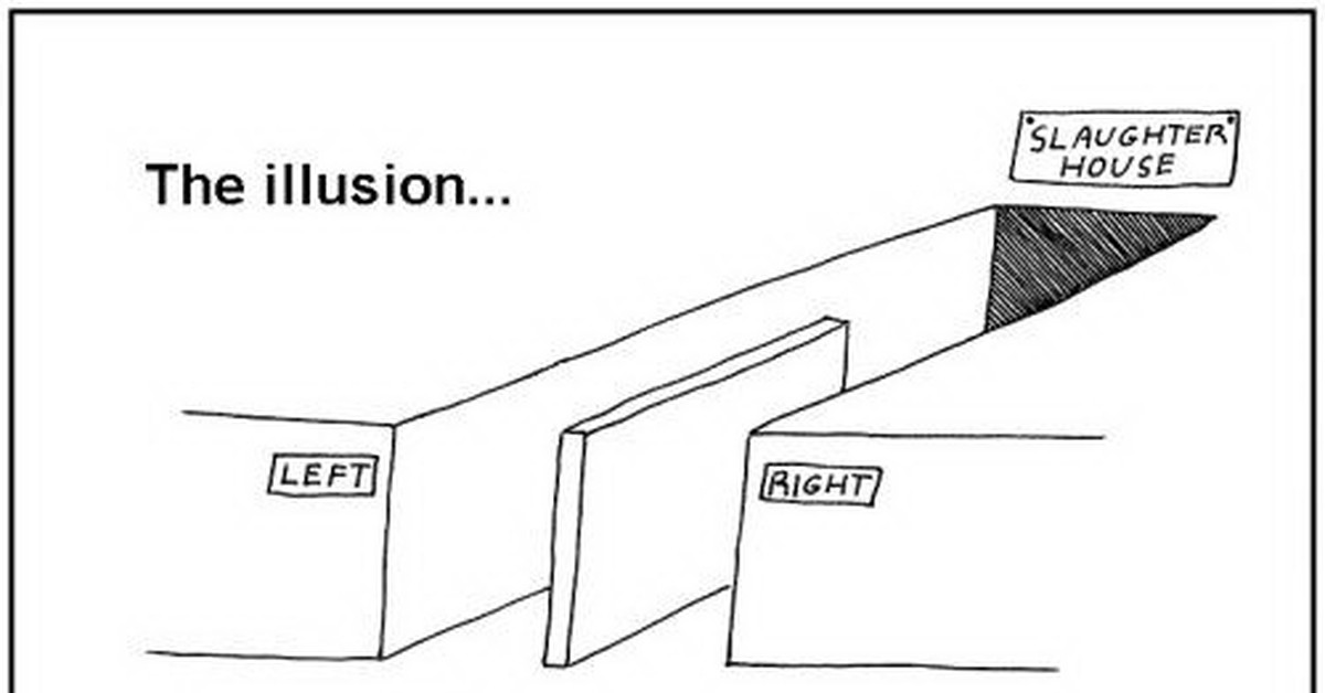Иллюзия выбора. Иллюзия выбора Мем. Иллюзия свободы выбора. Иллюзия выбора картинка. Иллюзия выбора Мем с коровой.
