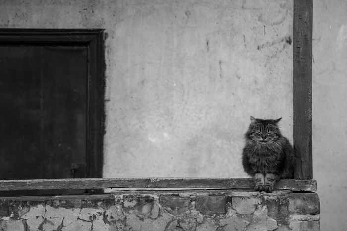 ����� � ���� �����